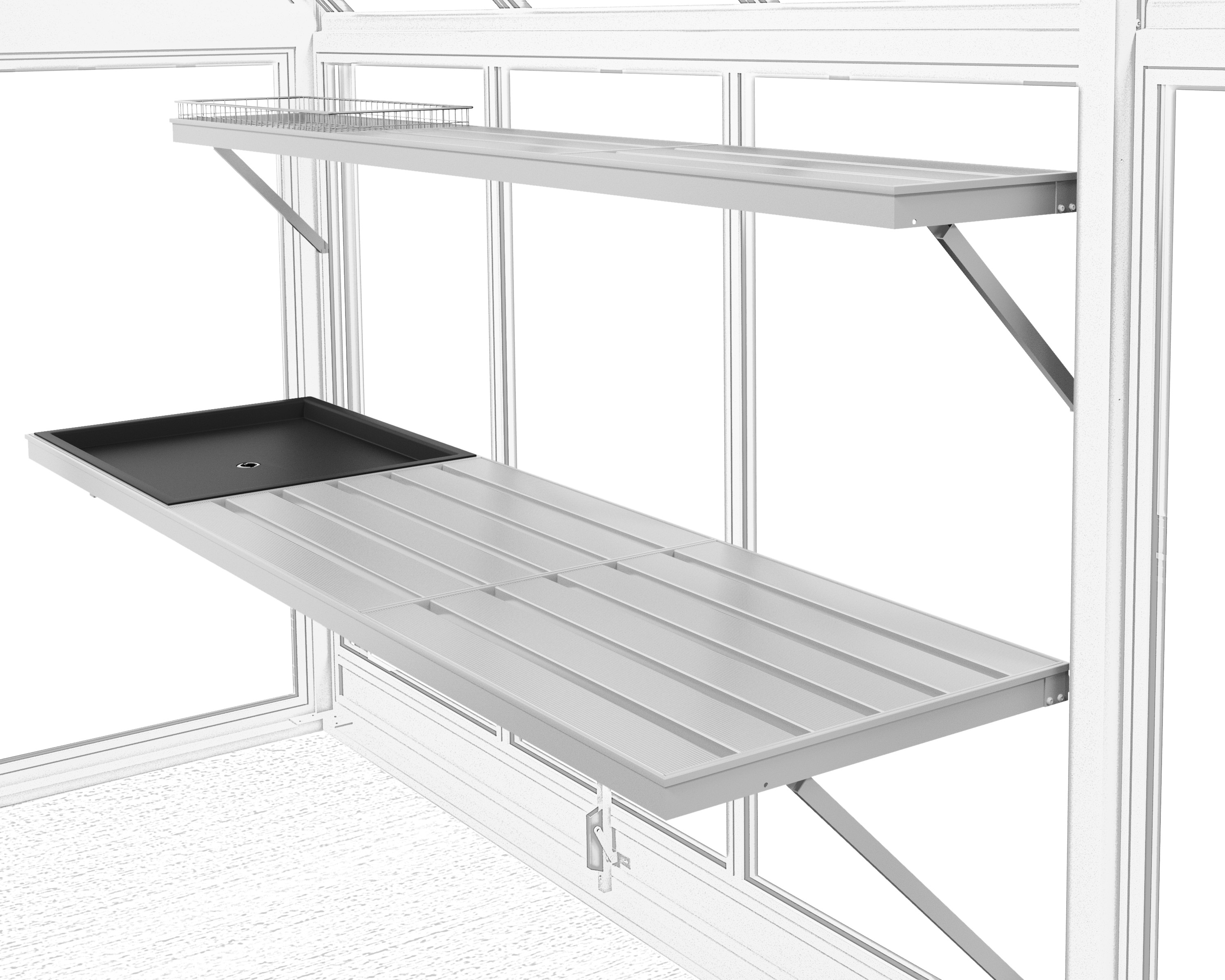 Greenhouse Interior with Tray
