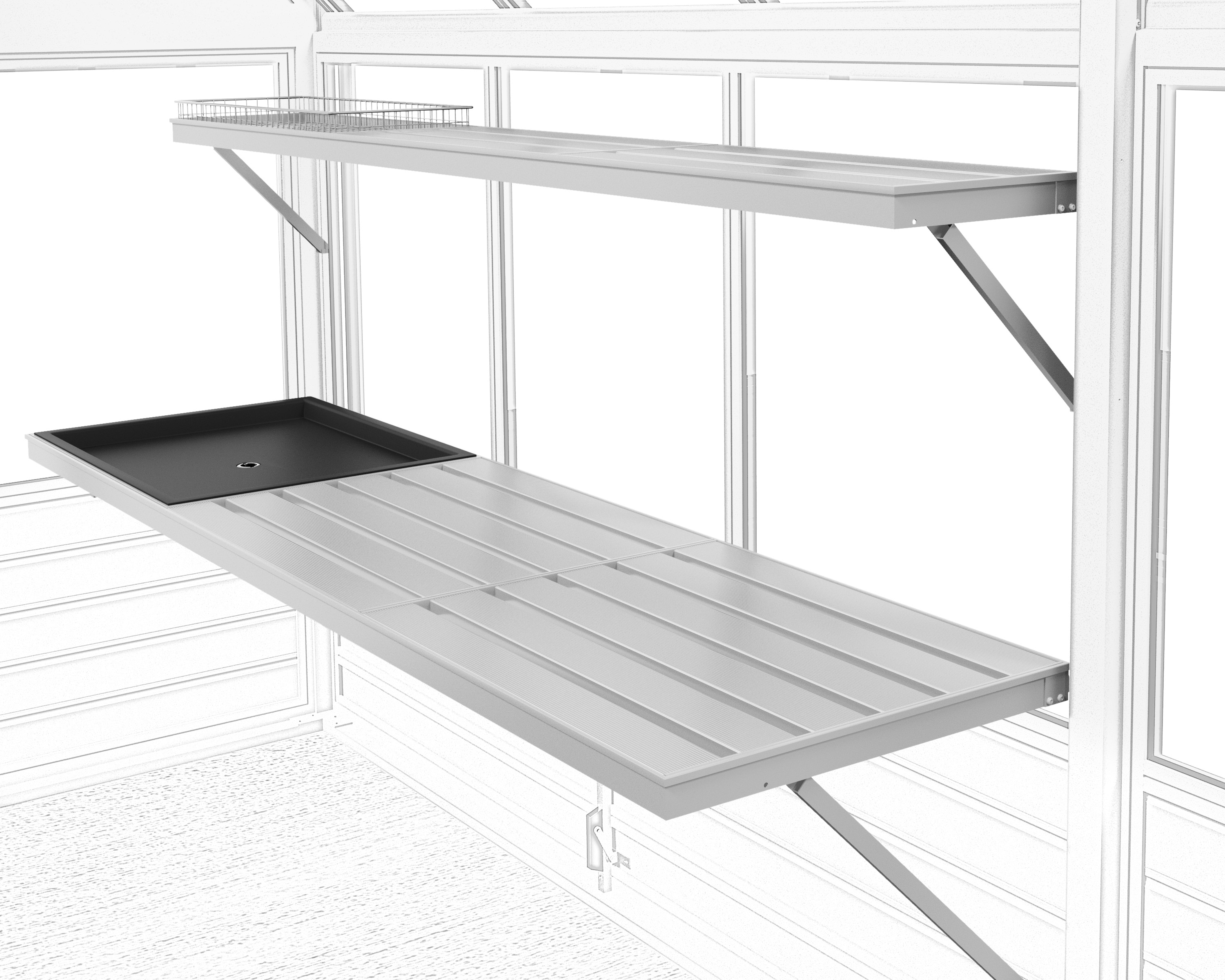 Greenhouse Interior with Tray