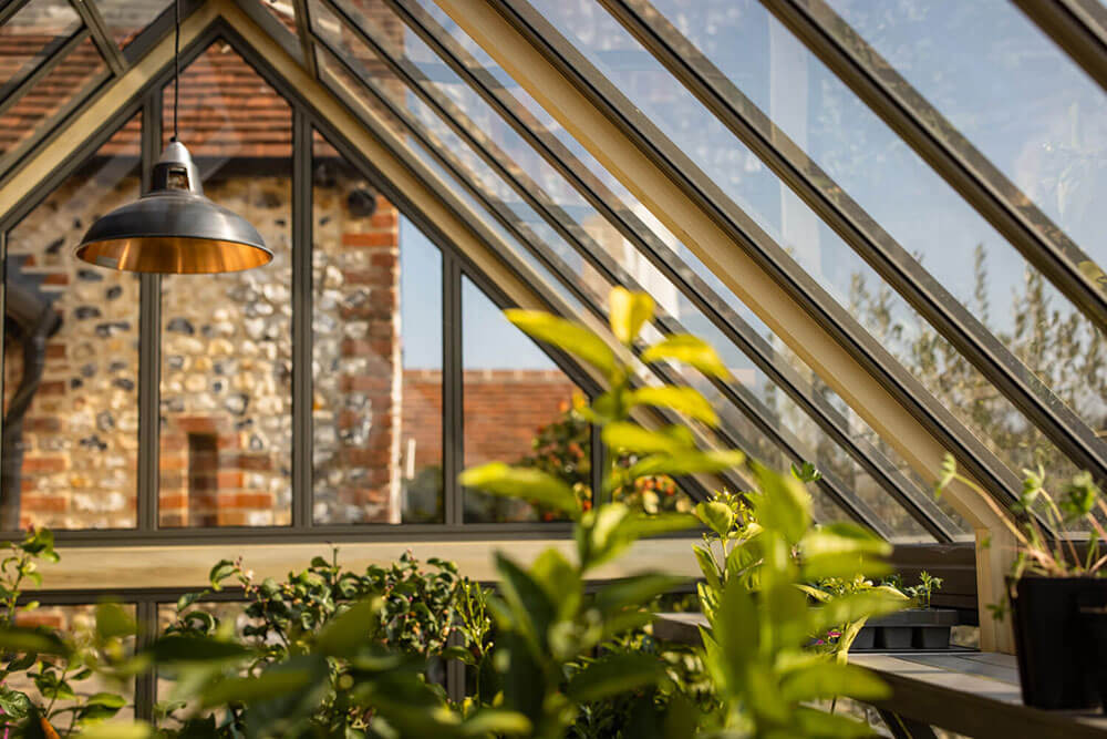 Greenhouse with light fitting