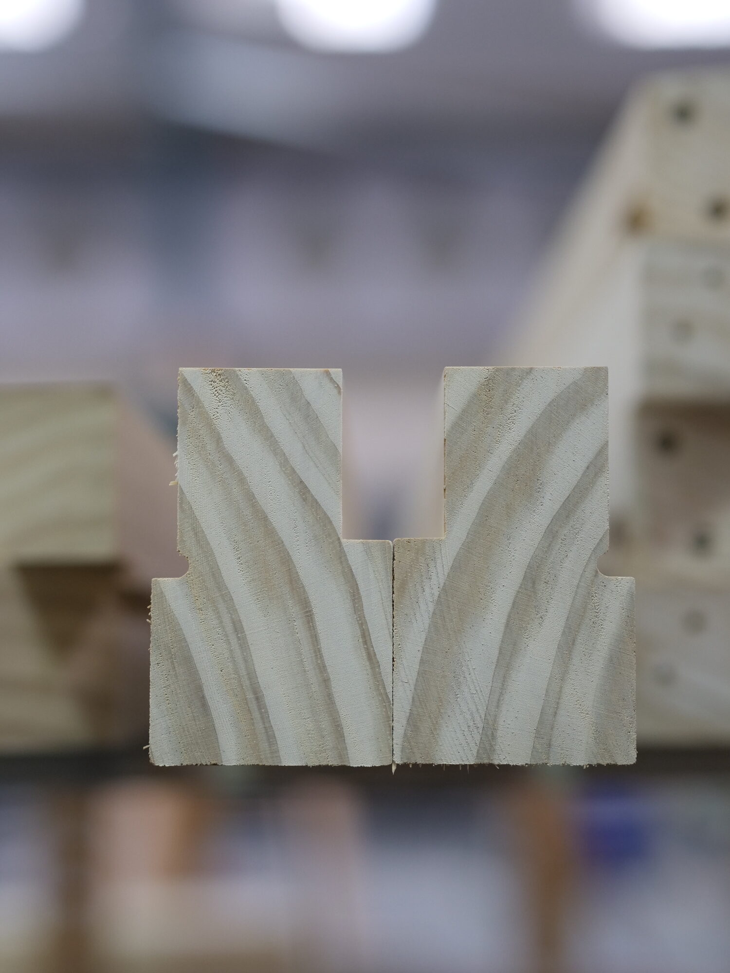 Accoya timber end grain close-up showing cellular structure