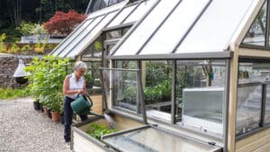 A Contemporary Greenhouse