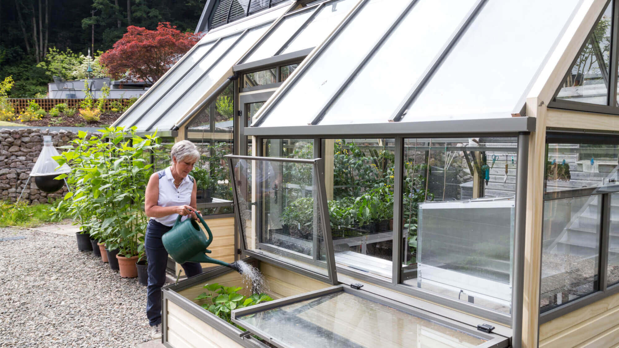 A Contemporary Greenhouse