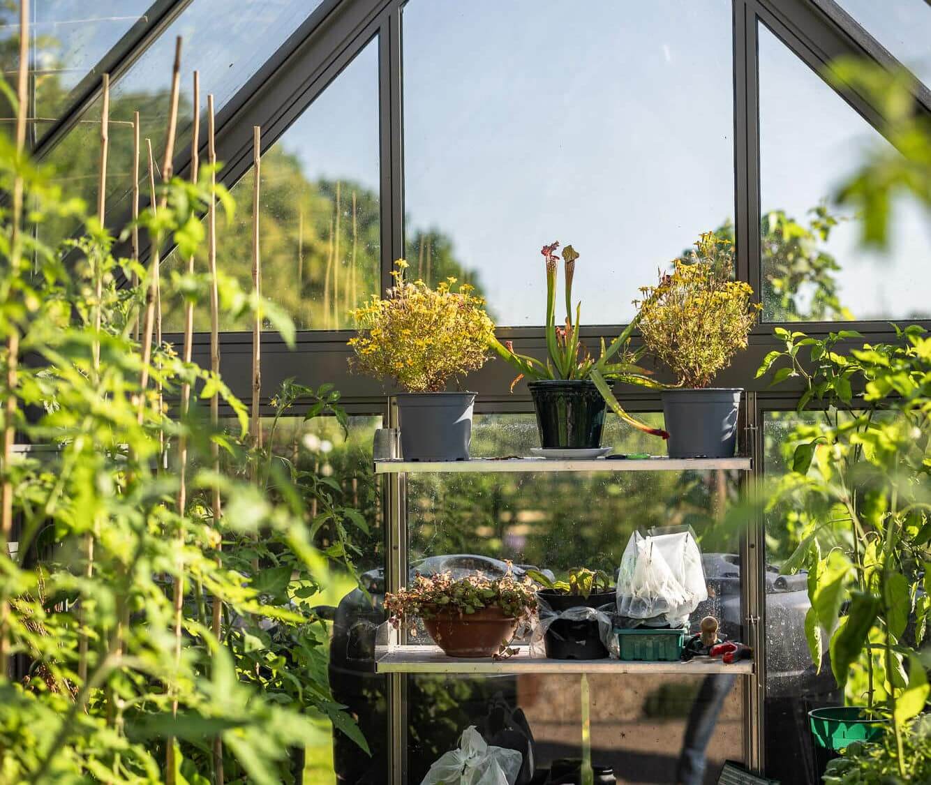 Creating a Garden Oasis