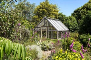 A Greenhouse for The Plant Enthusiast