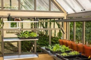 A Greenhouse for a Formal Garden
