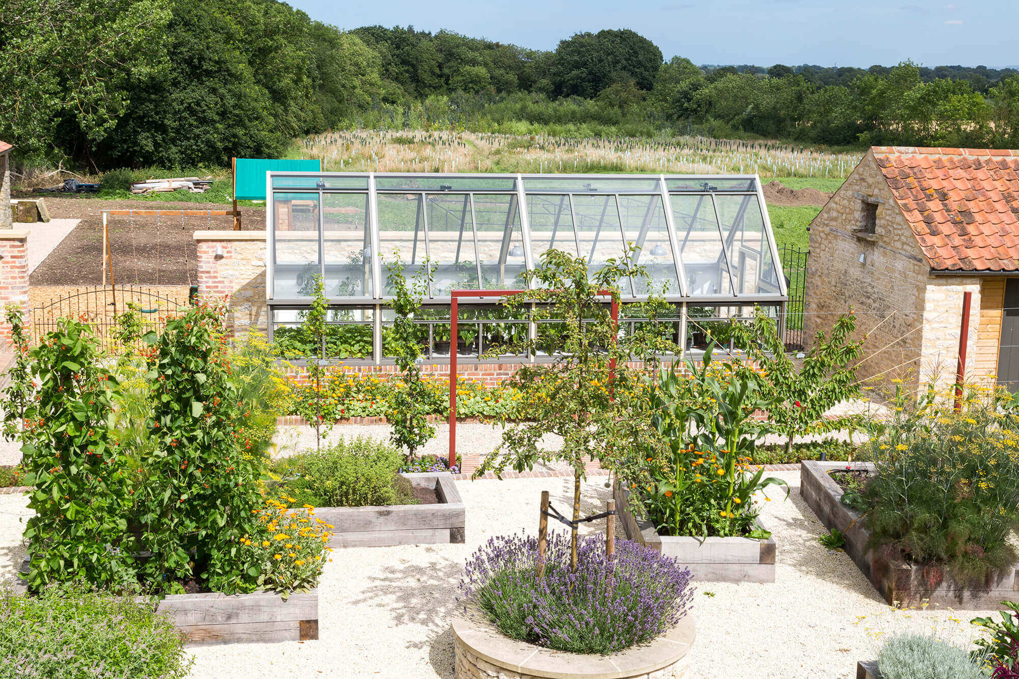A Courtyard Garden