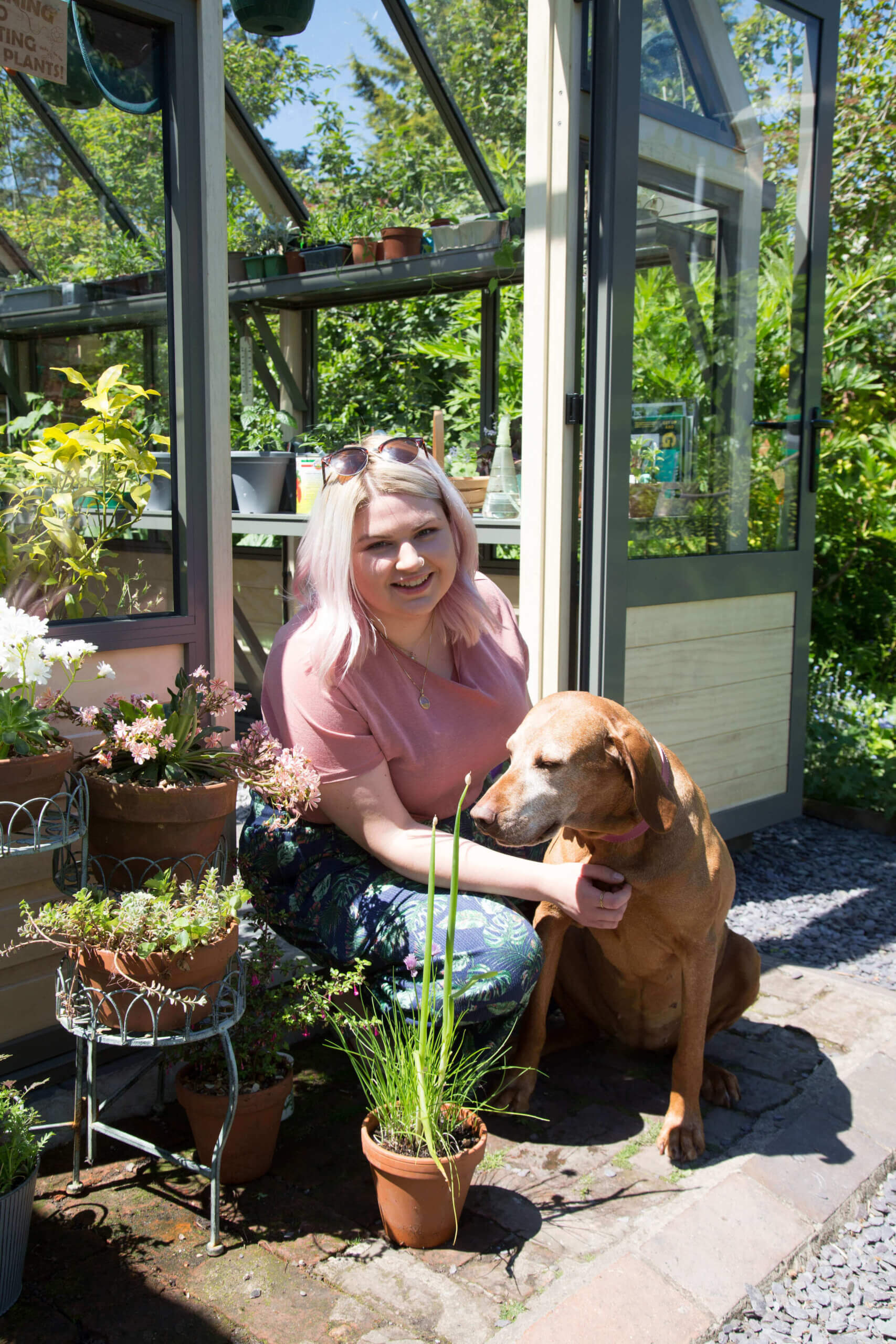 Greenhouse in the garden