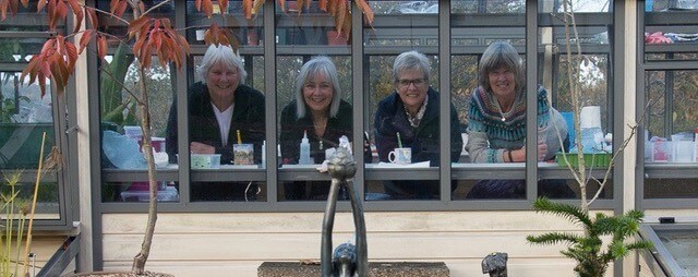 looking out of the greenhouse