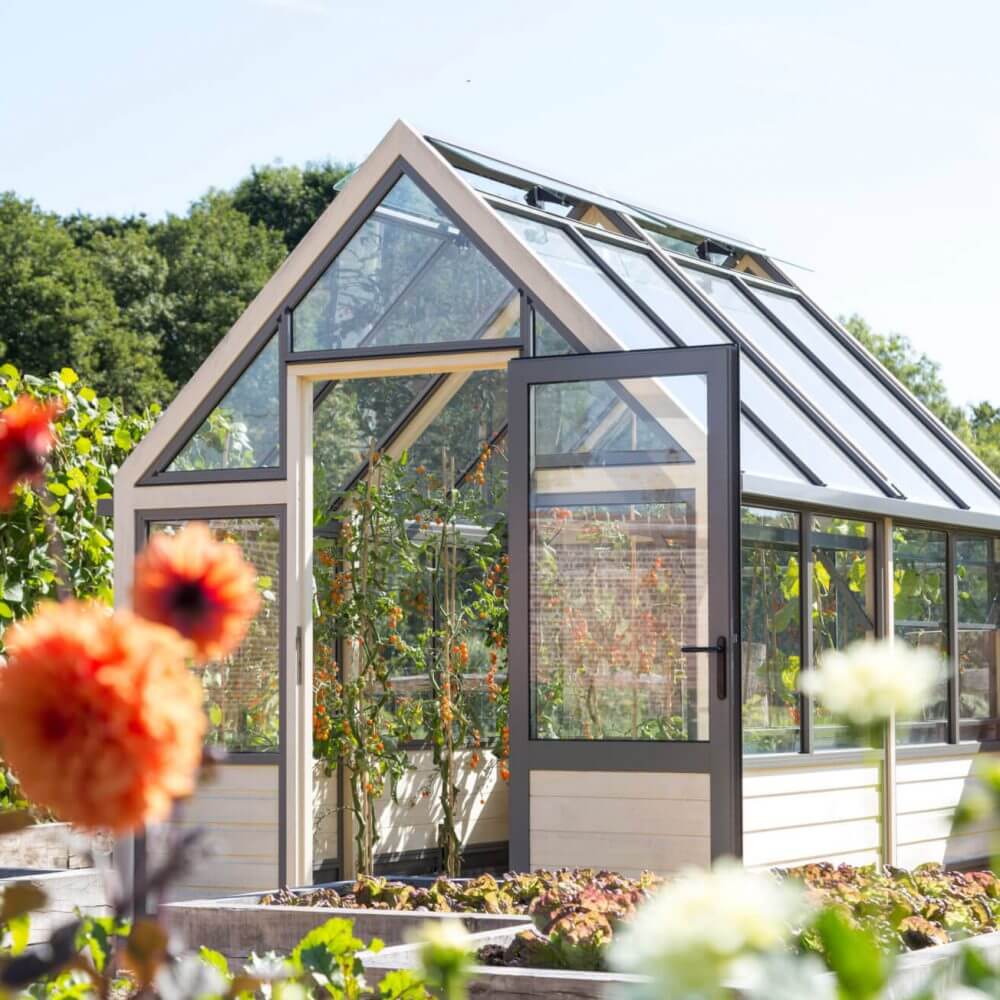 8 x 10 greenhouse