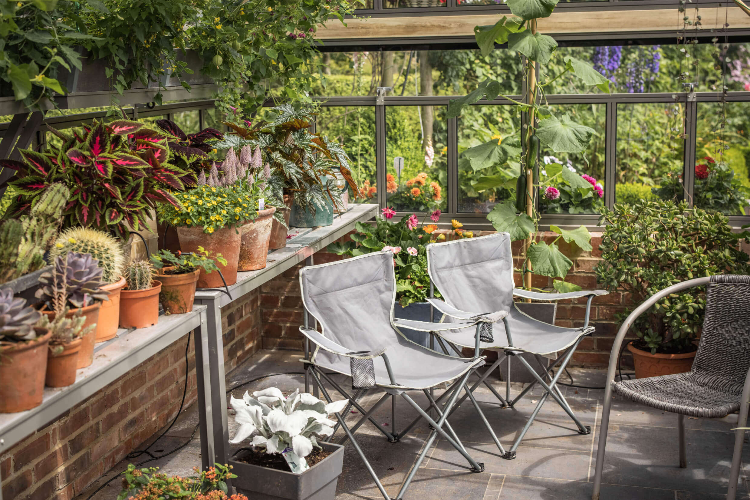 greenhouse full of plants and foliage