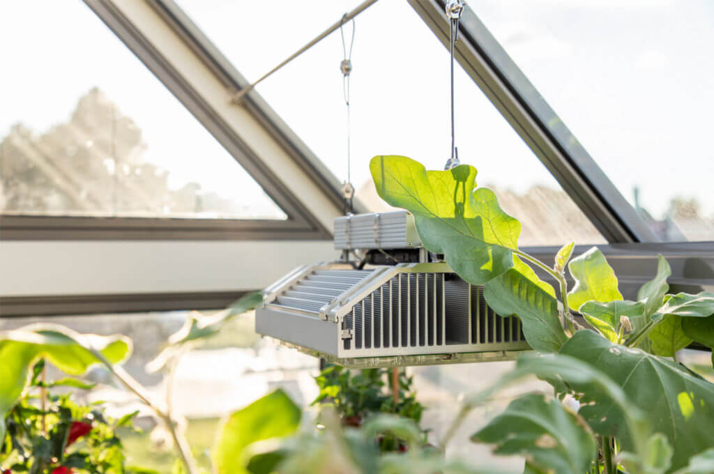 greenhouse grow light