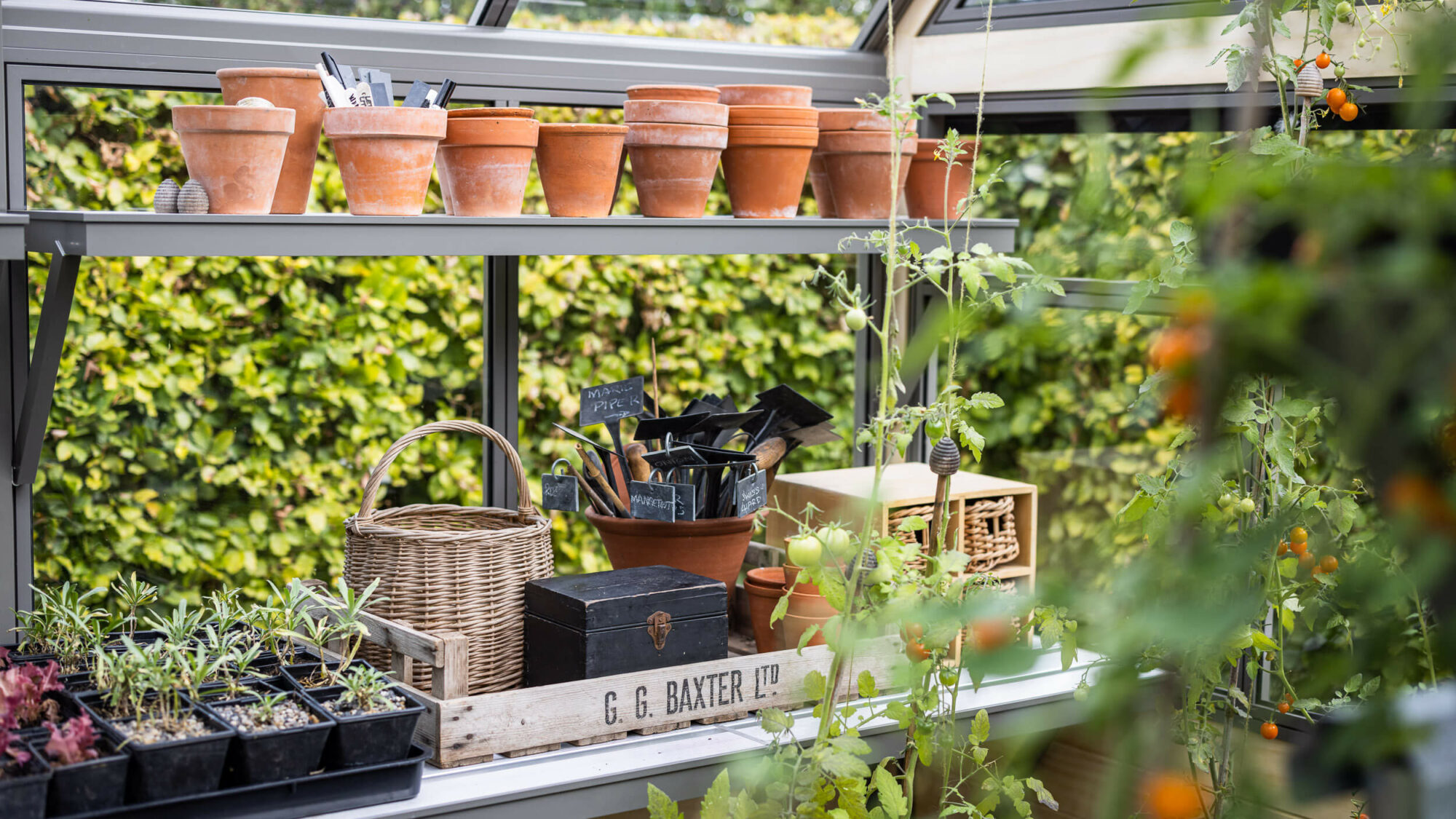 greenhouse shelving