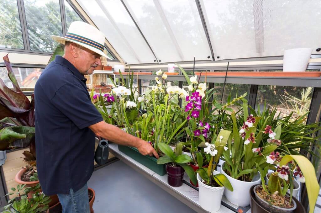 greenhouse in use