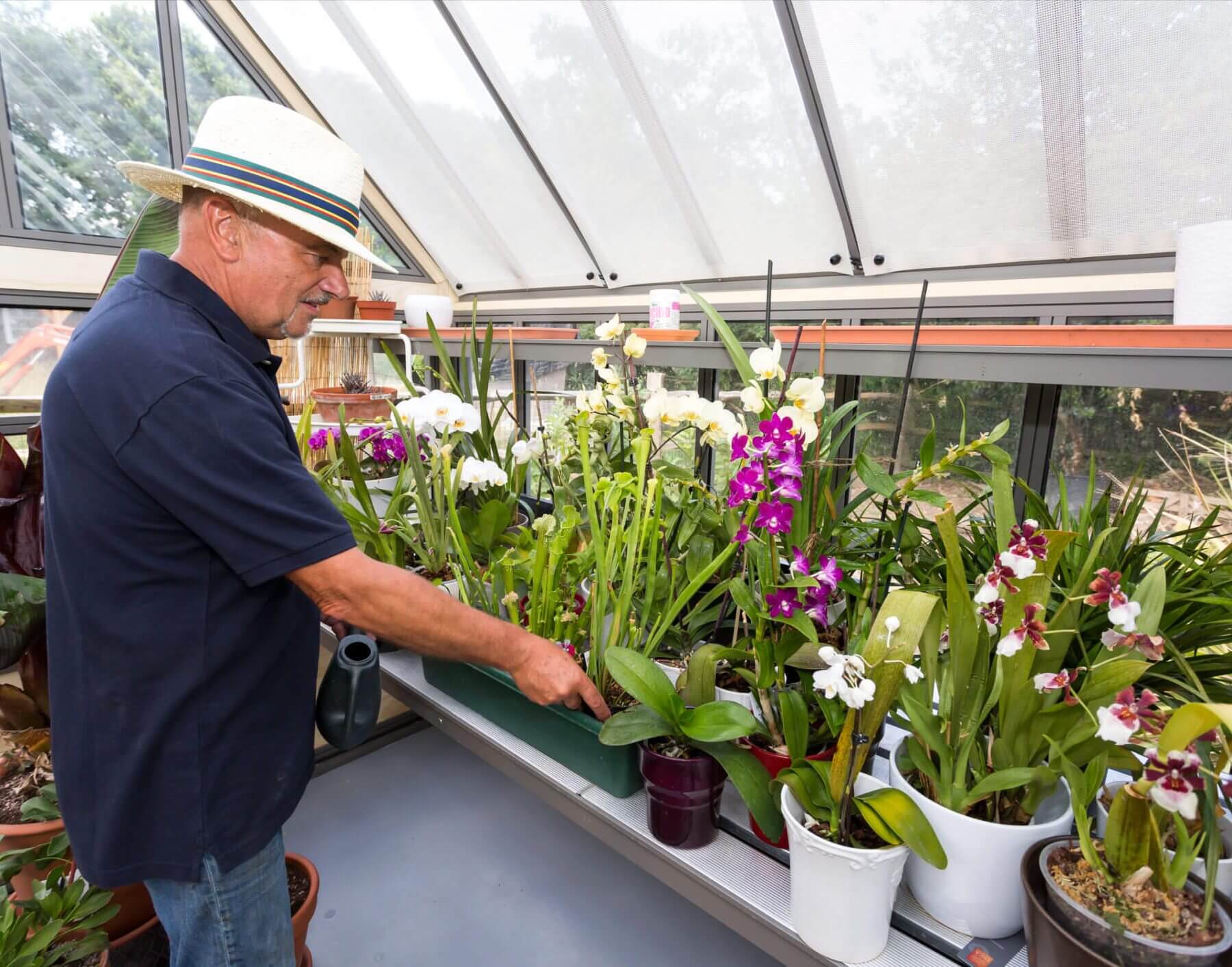 greenhouse in use