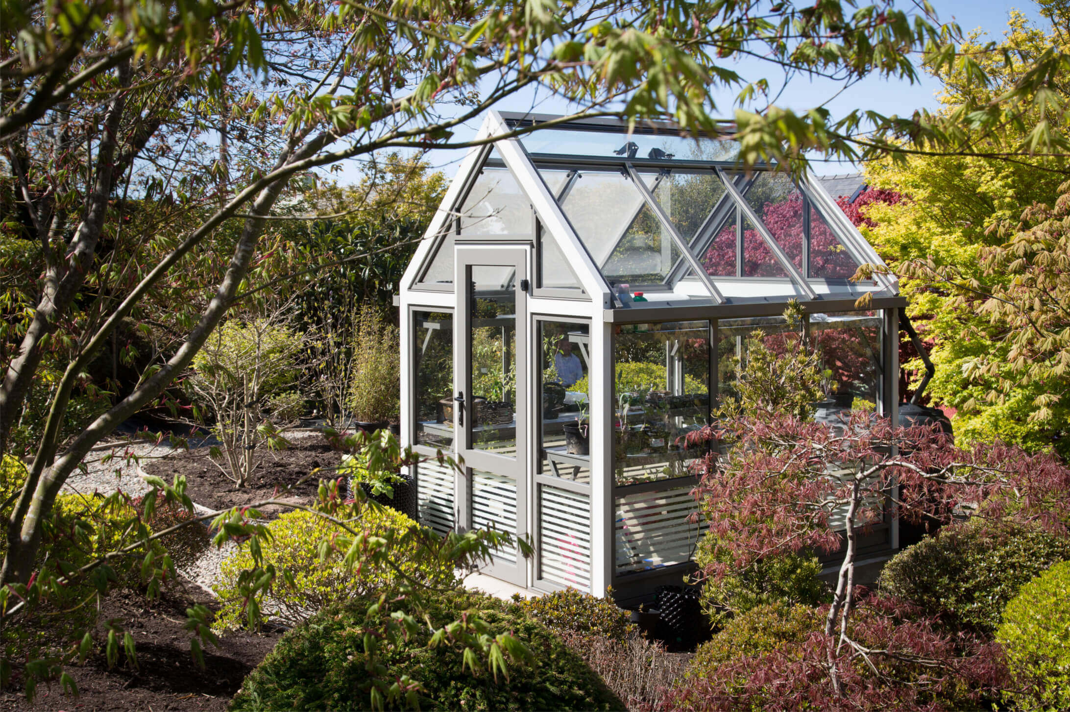 Contemporary aluminium greenhouse