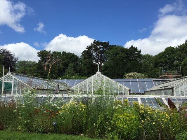 old greenhouse