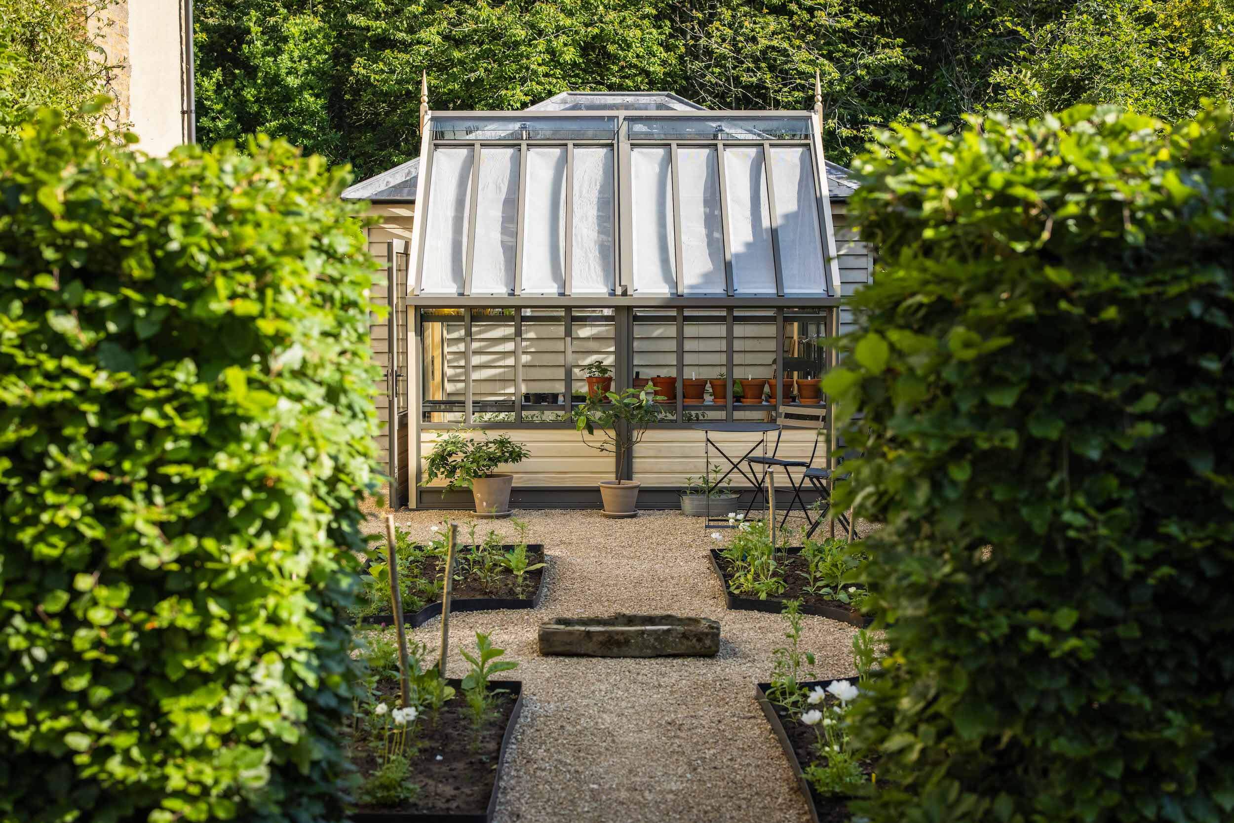 View of greenhouse through hedge