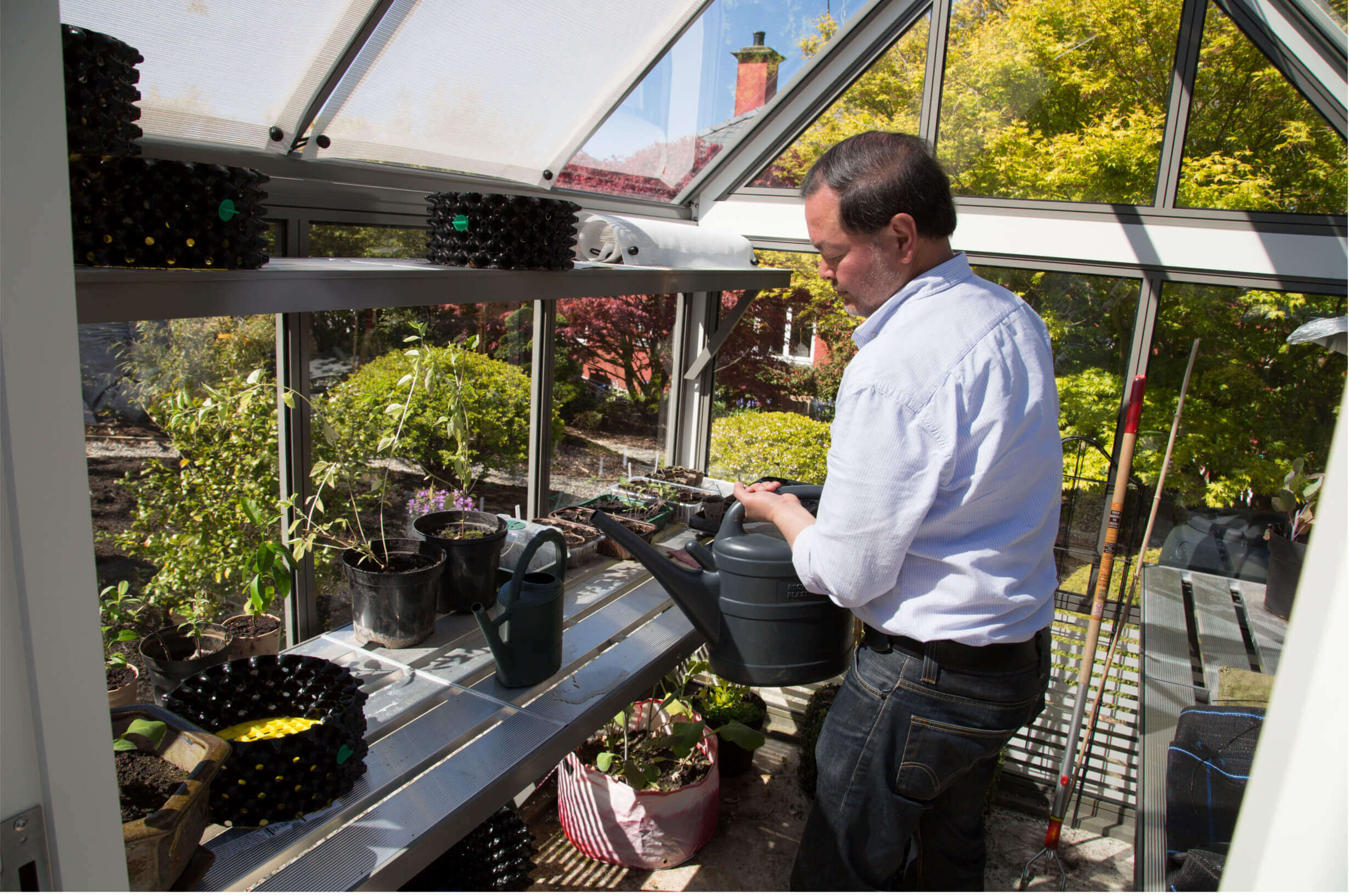 Watering a small aluminium greenhouse